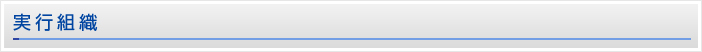 実行組織