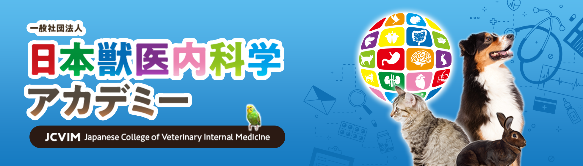 日本獣医内科学アカデミー（JCVIM）主催/一般社団法人 日本獣医内科学アカデミー（JCVIM）