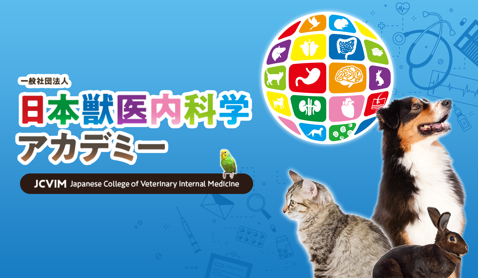 一般社団法人 日本獣医内科学アカデミー（JCVIM Japanese College of Veterinary Internal Medicine）