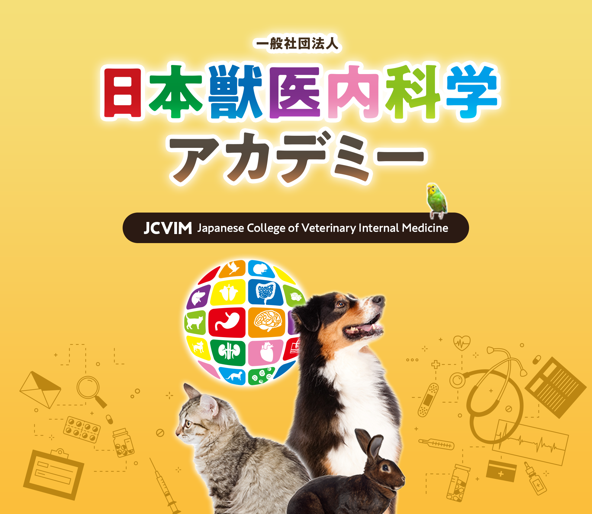 一般社団法人 日本獣医内科学アカデミー（JCVIM Japanese College of Veterinary Internal Medicine）
