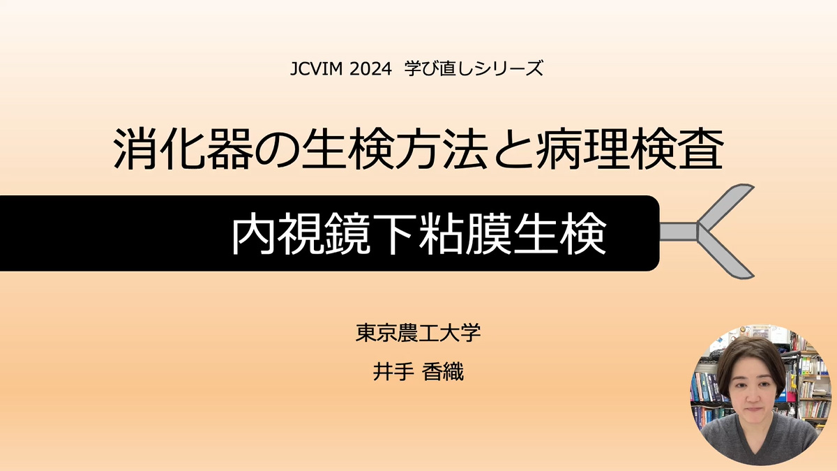見どころ動画 | 日本獣医内科学アカデミー（JCVIM）