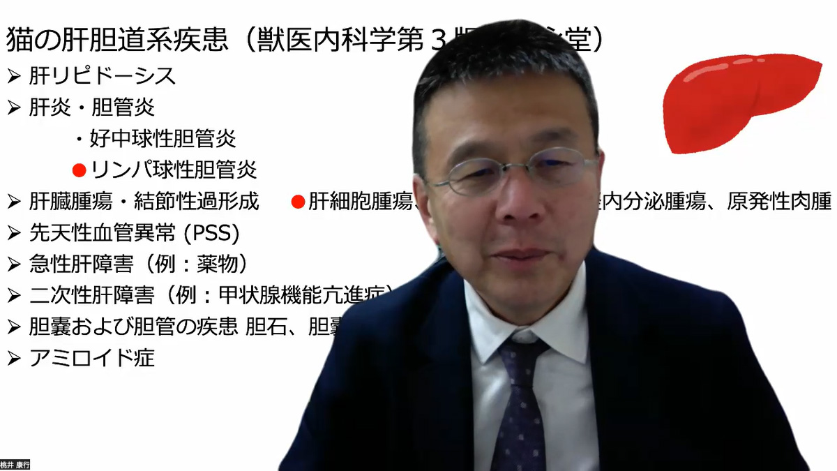 見どころ動画 | 日本獣医内科学アカデミー（JCVIM）