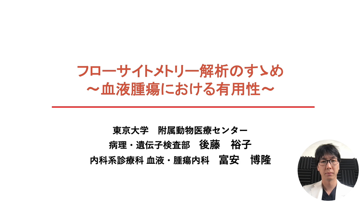 見どころ動画 | 日本獣医内科学アカデミー（JCVIM）